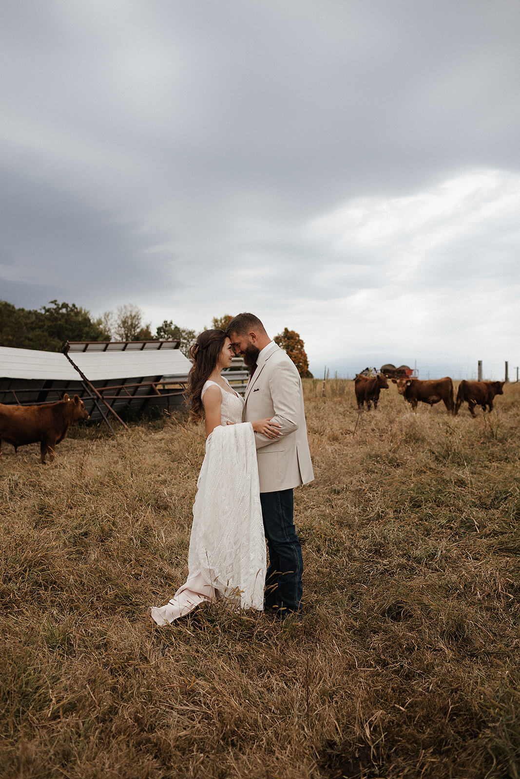 Bride and groom sharing a quiet moment together in a field with cattle grazing in the background at their Lancaster Wisconsin farmhouse wedding