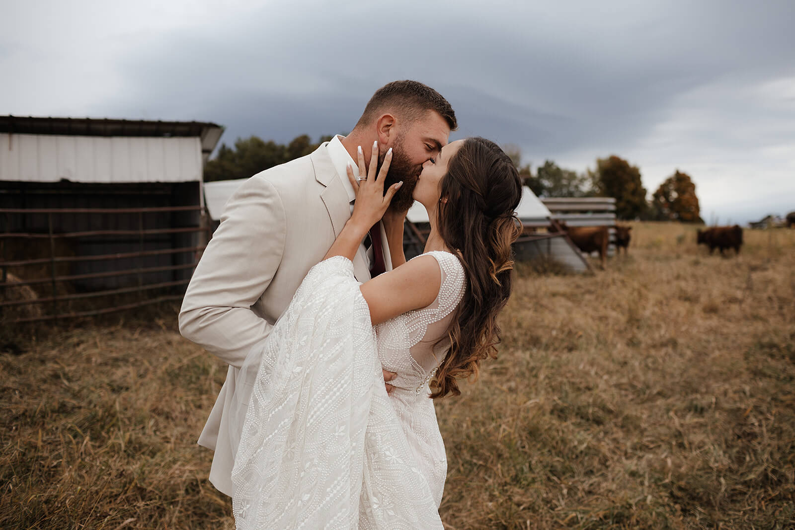 Groom dipping his bride for a kiss in a dry farm field with cattle grazing in the background at a Lancaster Wisconsin farmhouse wedding